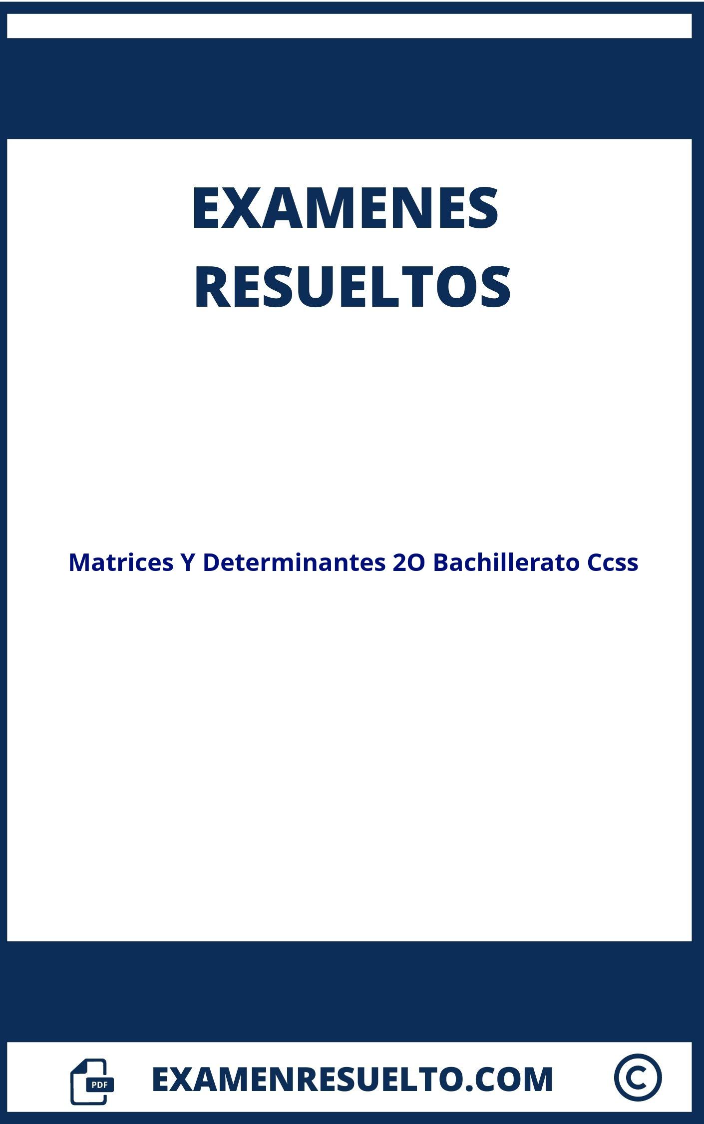 Examen Matrices Y Determinantes 2O Bachillerato Ccss Resuelto