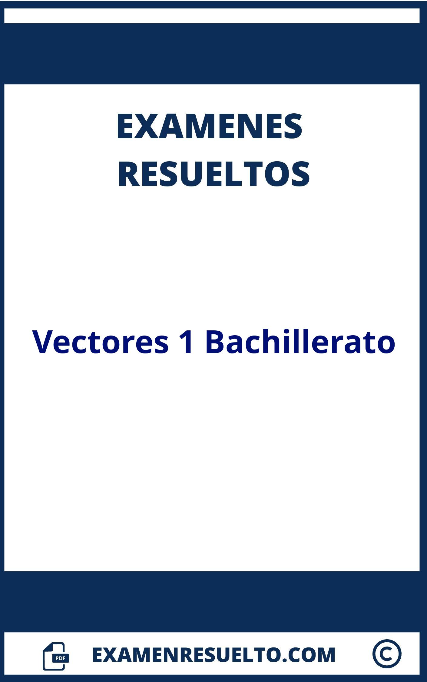 Examen Vectores 1 Bachillerato Resuelto