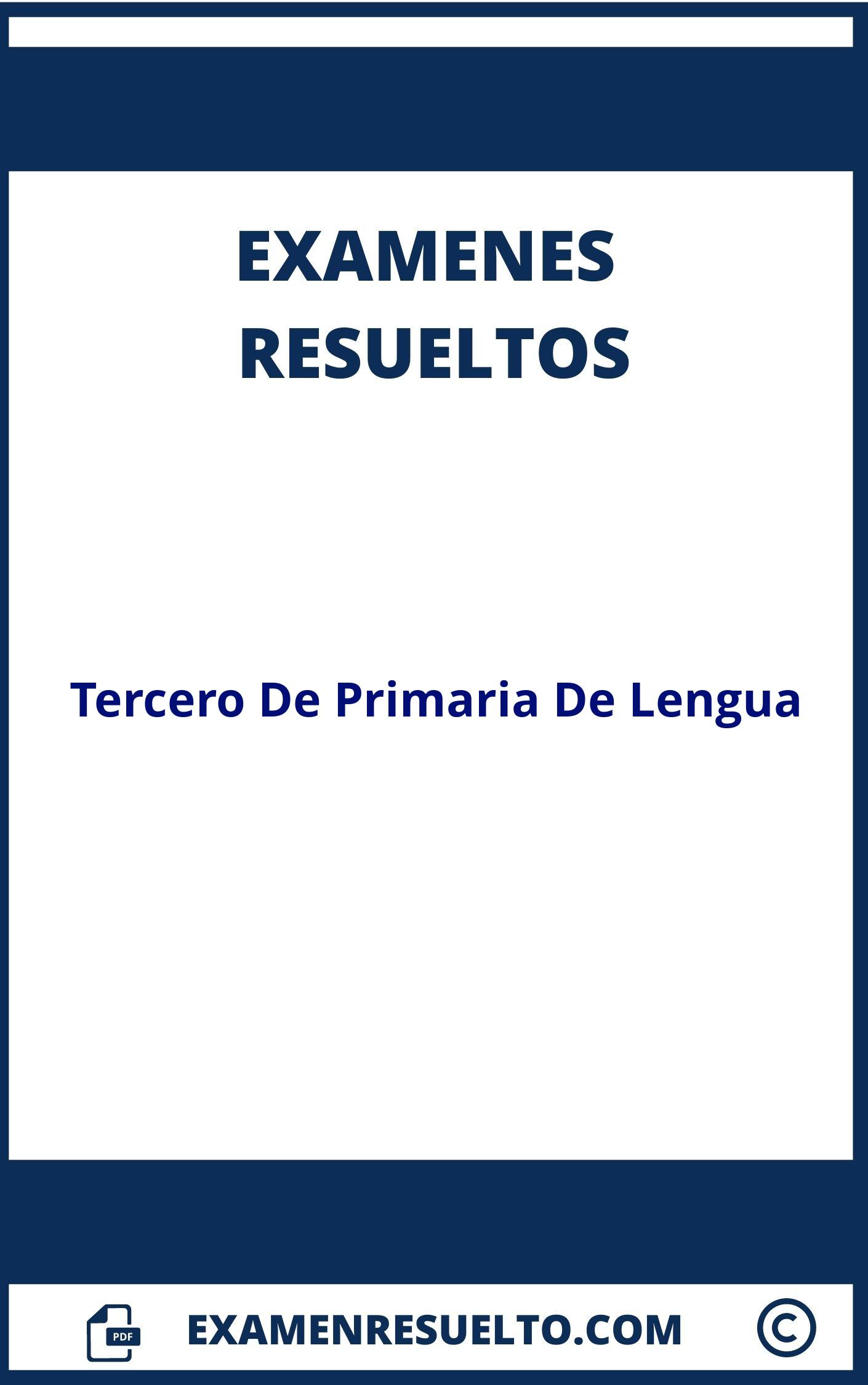 Examenes Tercero De Primaria De Lengua Resueltos